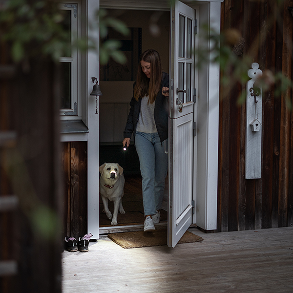 Frau geht mit einer Taschenlampe und ihrem Hund spazieren