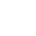 LLE_ICON_CCSI_RUNNING-01_WHITE