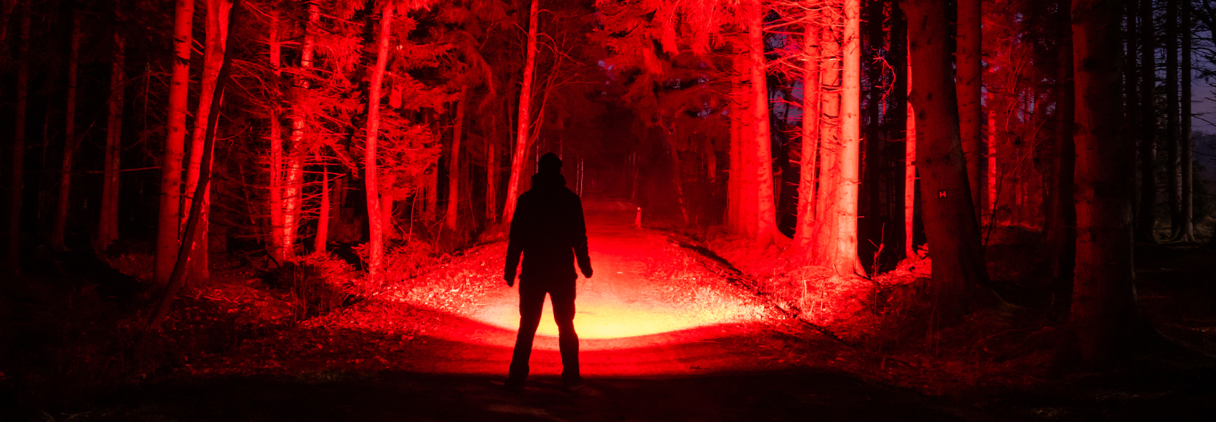 A man in the forest using a red light flashlight