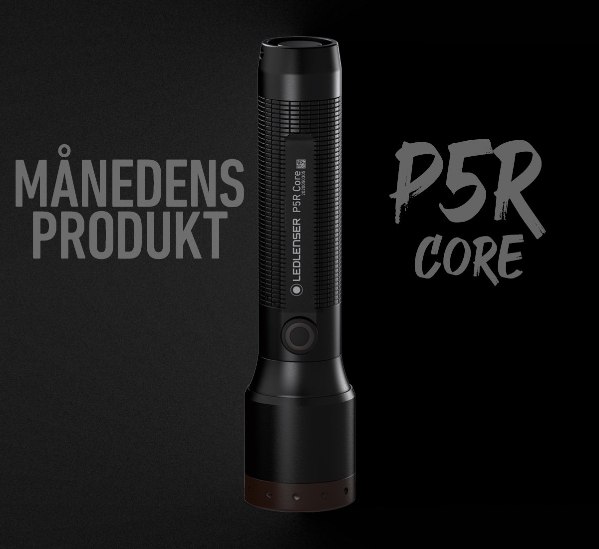 website_startseite_produkt-des-monats_P5R-Core_dk