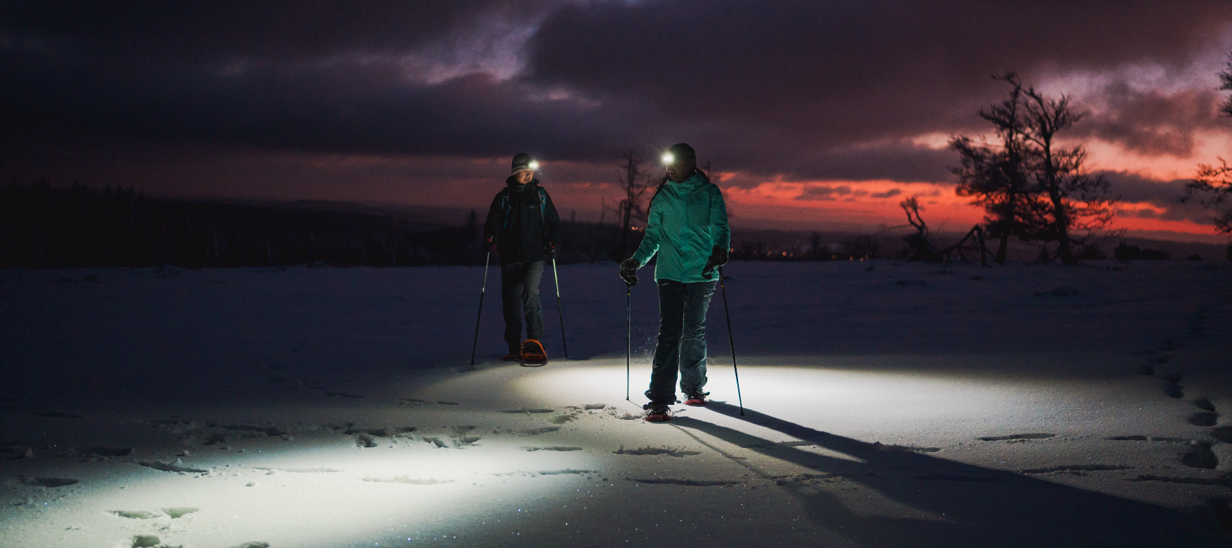 Two people are skiing in the night
