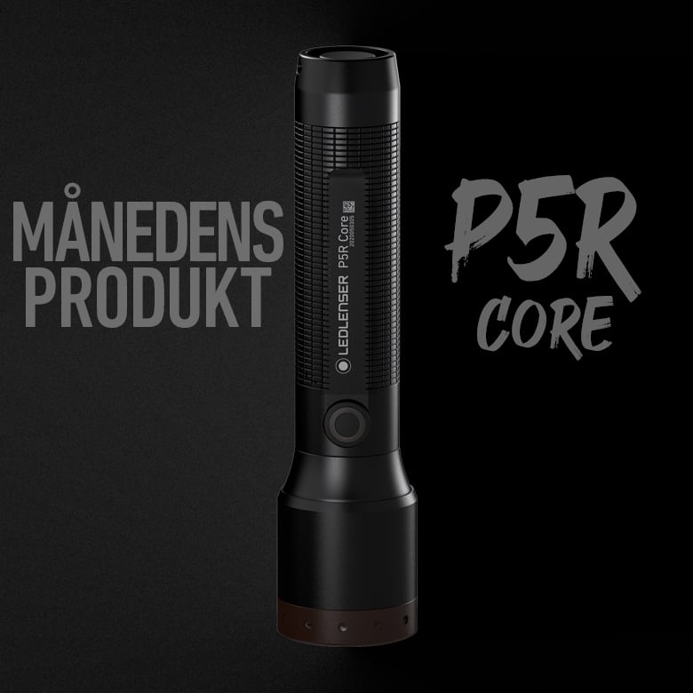 website_startseite_mobile_produkt-des-monats_P5R-Core_dk