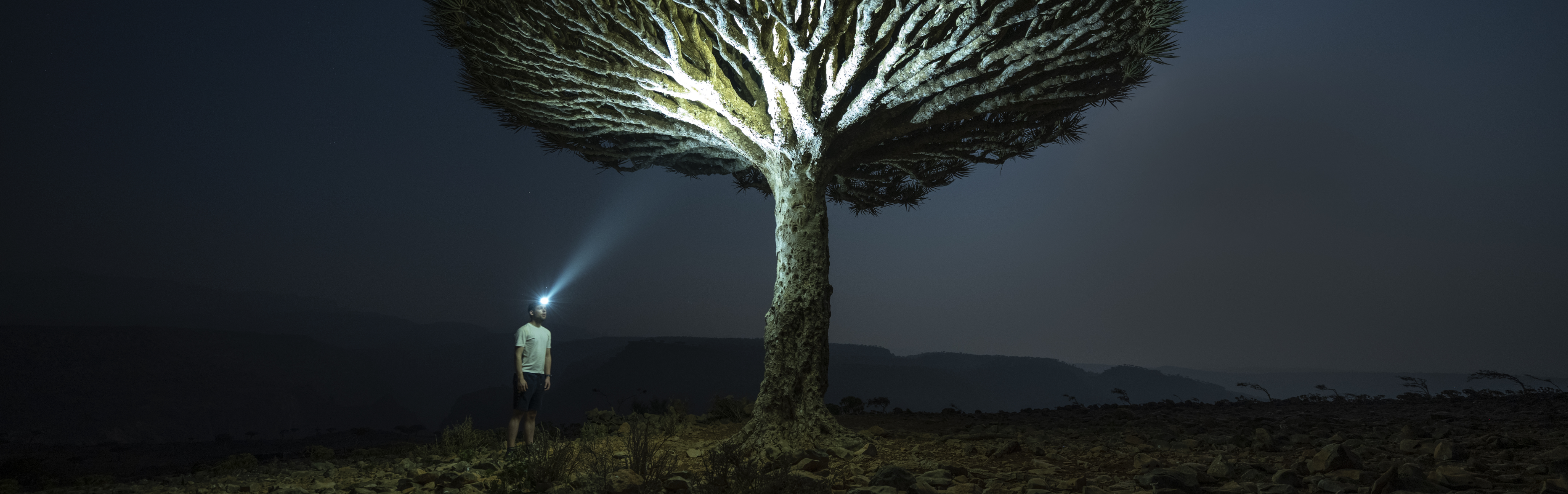 A man is standing under a tree using a headlamp